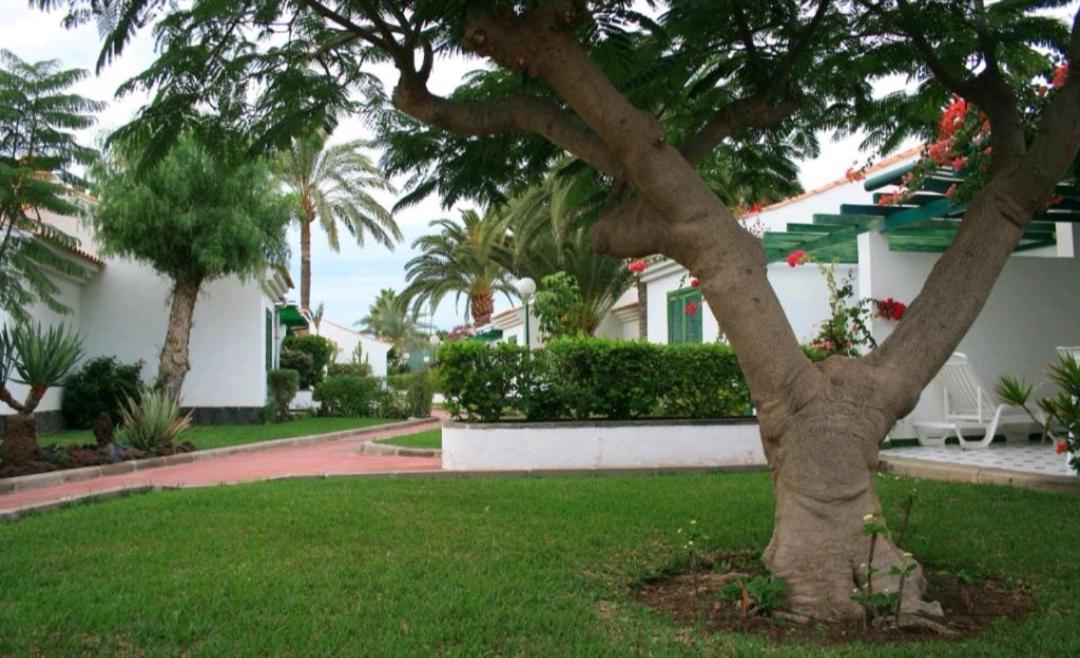Maspalomas Dunas Golf Dış mekan fotoğraf